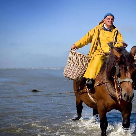 Zeezonzand Koksijde Luaran gambar