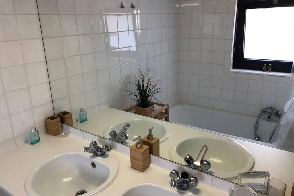 Zeezonzand Koksijde Luaran gambar